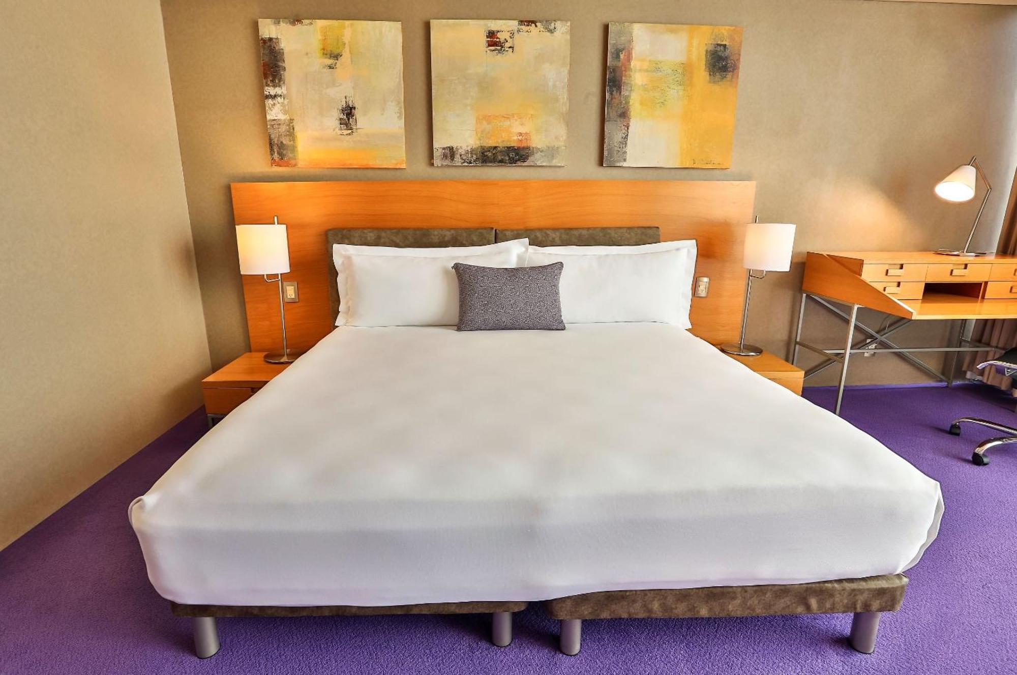 卡米诺里尔圣塔菲酒店 墨西哥城 外观 照片 A room at the Standard East Village